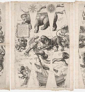 Nine (of 12) gores for a celestial globe, 3 engravings, uncut, by Willem Janszoon Blaeu, 1599 (Harvard Map Collection)