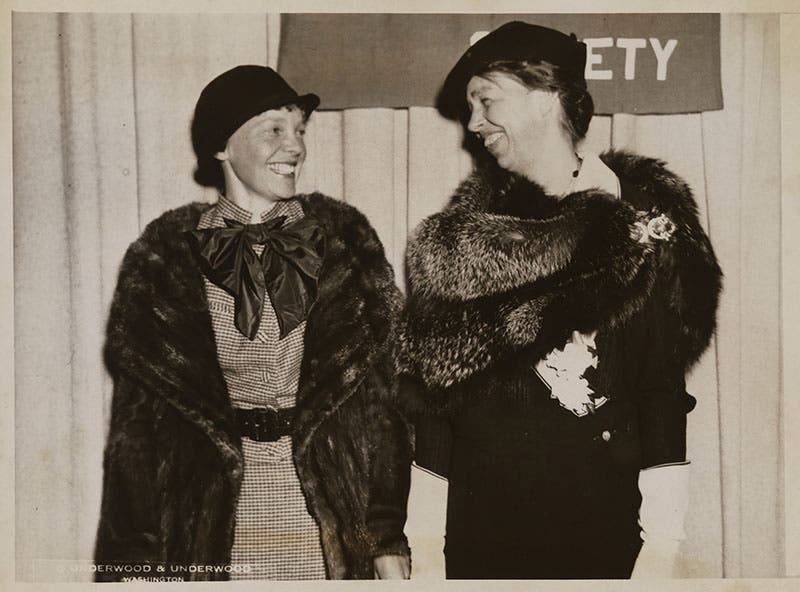 Amelia Earhart and Eleanor Roosevelt, photograph, Mar. 2, 1935, National Portrait Gallery (npg.si.edu)