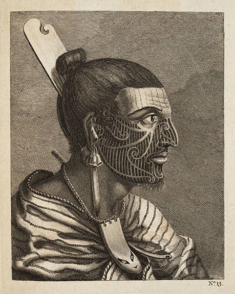 A Maori warrior, as drawn on Cook’s first voyage, in John Hawkesworth, An Account of the Voyages, 1773 (Linda Hall Library)