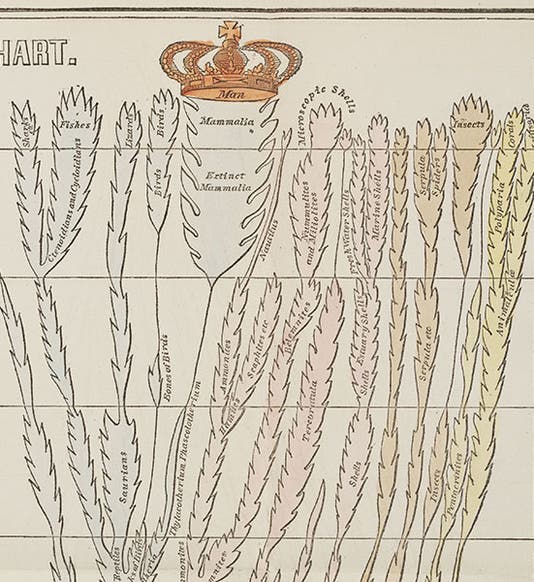 <p>Linda Hall Library</p>