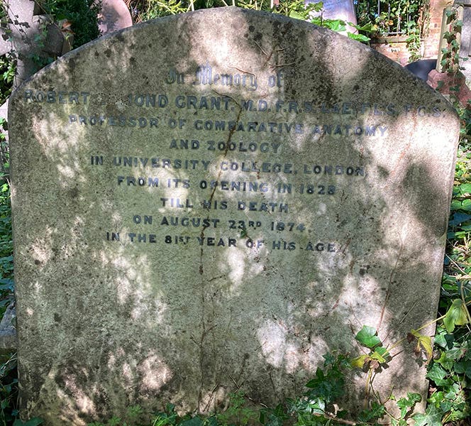 Gravestone of Robert Grant, Highgate Cemetery East, north London (Wikimedia commons)