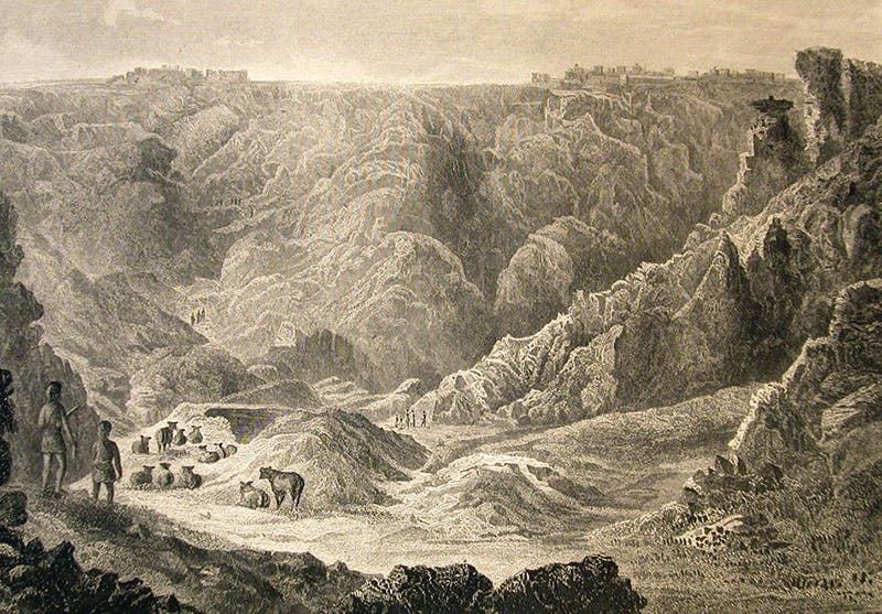 Pueblos of the Moquis (Hopi) in Arizona, detail of lithograph by J.J. Young after H.B. Möllhausen, in Joseph C. Ives, Report upon the Colorado River of the West, 1861 (Linda Hall Library)
