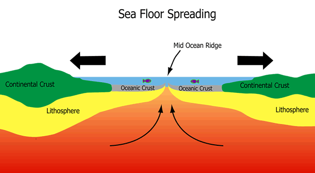 Modern diagram of sea floor spreading (nittygrittyscience.com)

