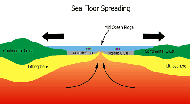 Modern diagram of sea floor spreading (nittygrittyscience.com)