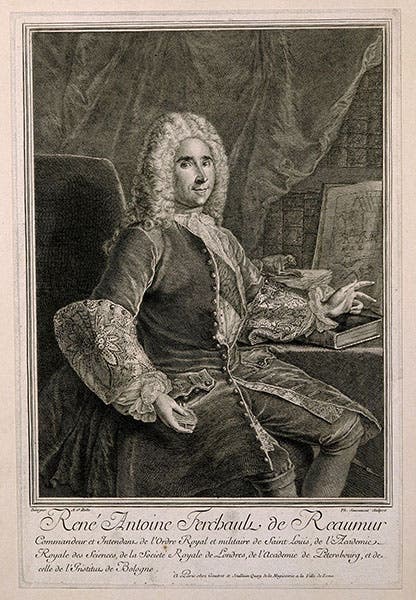 Portrait of Réne-Antoine Ferchault de Réaumur, engraving by P. Simonneau after painting by Alexis-Simon Belle, undated but before 1734, Wellcome Collection, London (wellcomecollection.org)