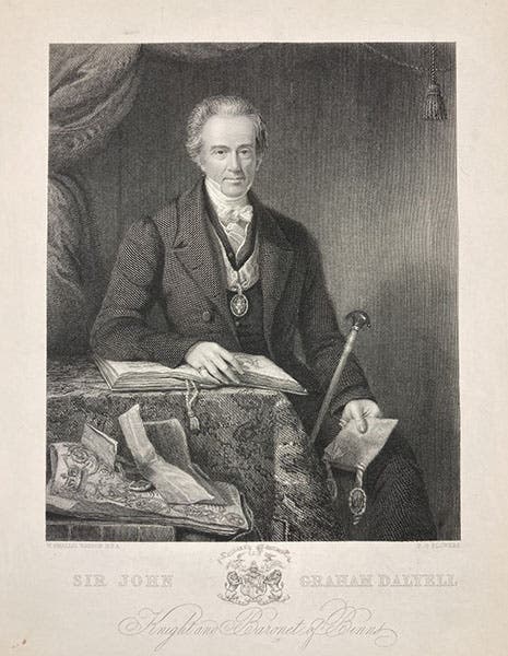 Portrait of John Graham Dalyell, engraved by T.G. Flowers after painting by W. Smellie Watson, frontispiece to Dalyell’s The Powers of the Creator, vol. 3, 1858 (Linda Hall Library)