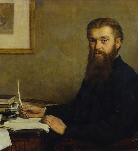 Portrait of William Kingdon Clifford, oil on canvas, by John Collie, 1878, Collection of the Royal Society of London (artuk.org)