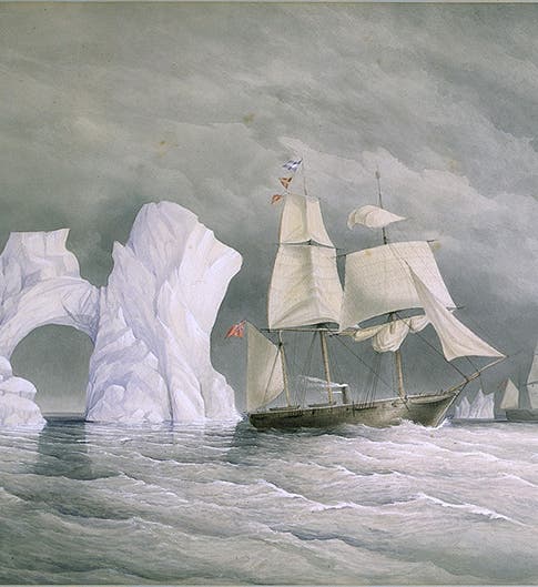 HM Steamship Phoenix, with Talbot and Diligence, passing an iceberg, watercolor by Edward Augustus Inglefield, 1853, National Maritime Museum, Greenwich (rmg.co.uk)
