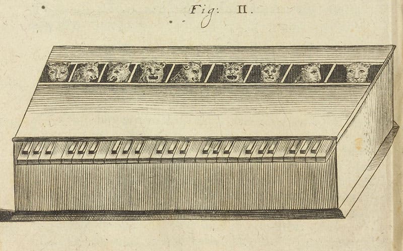 The first image of a cat piano, detail of third image, from Magia universalis, by Gaspar Schott, vol. 2, plate 24, p. 372, 1657-59 (Linda Hall Library)