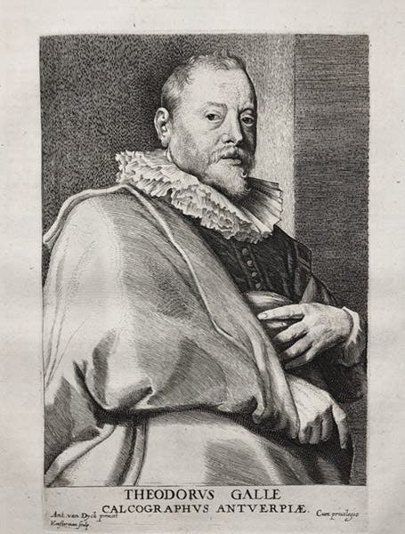 Portrait of Theodor Galle, engraving after Anthony van Dyck, ca 1655, print offered for sale on Abe Books (abebooks.com)