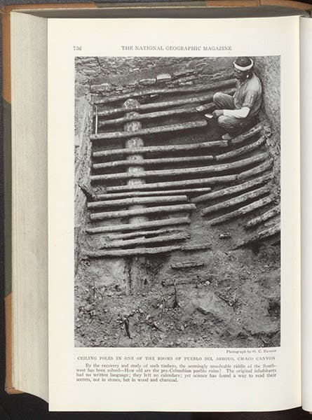 Wooden ceiling poles at Chaco canyon, photograph in article by Andrew E. Douglass, National Geographic, 1929 (Dec.), vol. 56, no. 6 (Linda Hall Library)