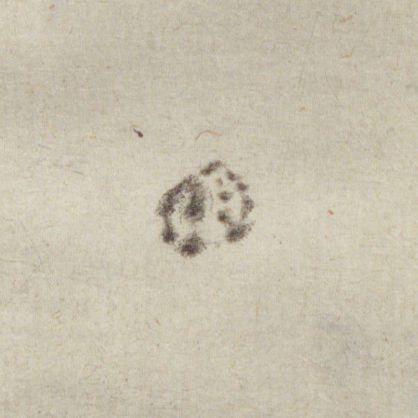 Detail of unlabelled sunspot group, engraving of the solar disc with sunspots, by Mattheus Greuter, after drawing by Galileo Galilei, in his Istoria e dimostrazioni intorno alle macchie solari, p. 91, 1613 (Linda Hall Library)