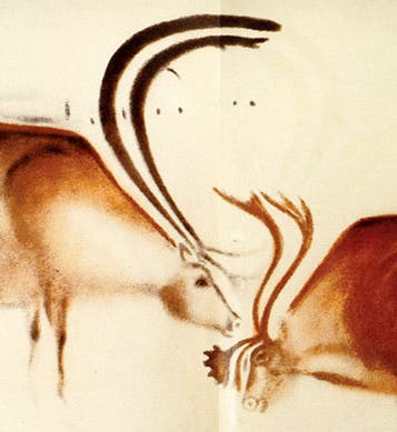 Two reindeer, copy by Abbé Breuil of cave paintings at Font de Gaume, 1901 (Don’s Maps)