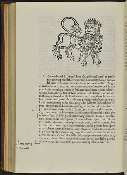 Discussion and woodcut of the constellation Leo, in the Phaenomenon of Aratus, in the Aldine edition of Matheseos Liber, 1499 (Linda Hall Library)