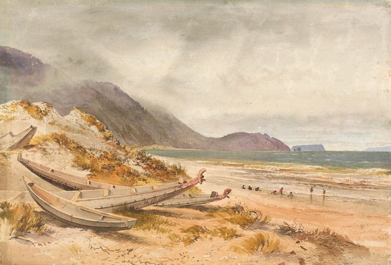 Near Paekakariki, Cook Strait, watercolor by Nicholas Chevalier, 1868, National Gallery of Victoria (ngv.vic.gov.au)