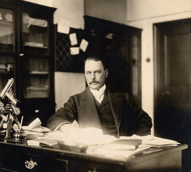 Ronald Ross in his lab, undated, but probably shortly after he discovered the Plasmodium/Anopheles life cycle (lstmed.ac.uk)