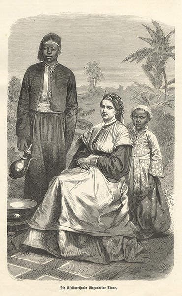 Alexine Tinné in the Sudan, wood engraving after a photograph (artgen.billerantik.de)
