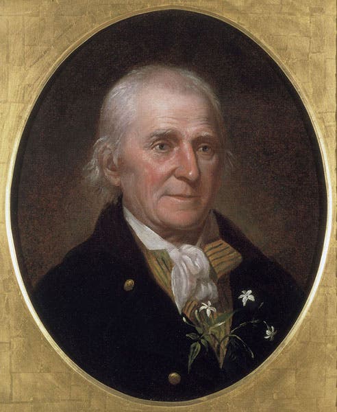 Portrait of William Bartram, oil on canvas, by Charles Willson Peale, 1808, Independence National Historical Park, Second Bank, Philadelphia (https://www.nps.gov/inde/)
