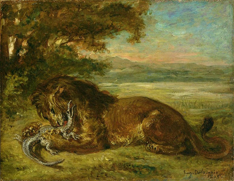 Lion Playing with an Alligator, by Eugène Delacroix, 1863, in the Kunsthalle Hamburg (Wikimedia commons)