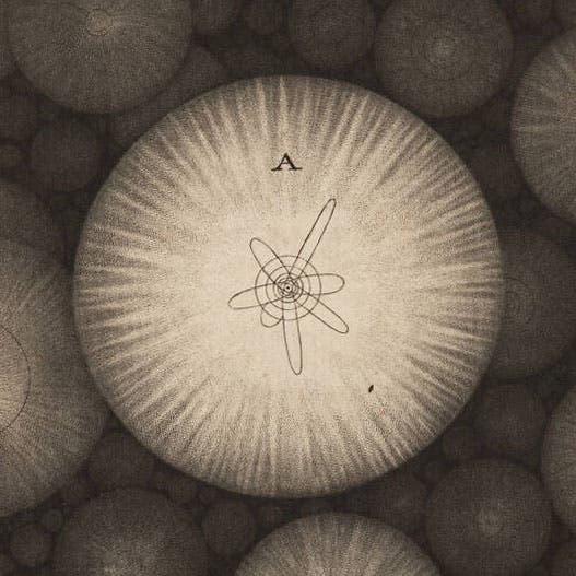 Our solar system, a detail of fifth image, showing mezzotint rocker marks (Linda Hall Library)