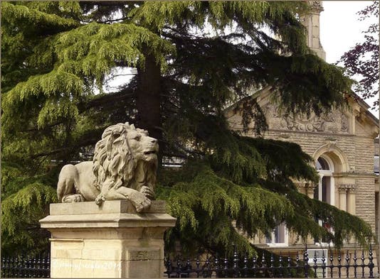 <i>Determination</i>, one of the Saltaire lions, sculpted in stone by Thomas Milnes, commissioned by Titus Salt, 1869, Saltaire, West Yorkshire (victorianweb.org)