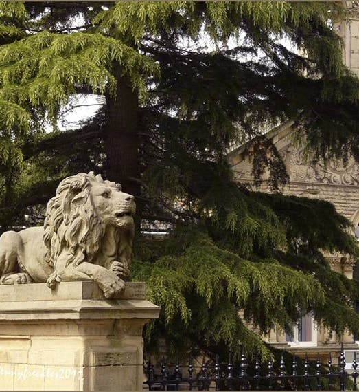 <i>Determination</i>, one of the Saltaire lions, sculpted in stone by Thomas Milnes, commissioned by Titus Salt, 1869, Saltaire, West Yorkshire (victorianweb.org)