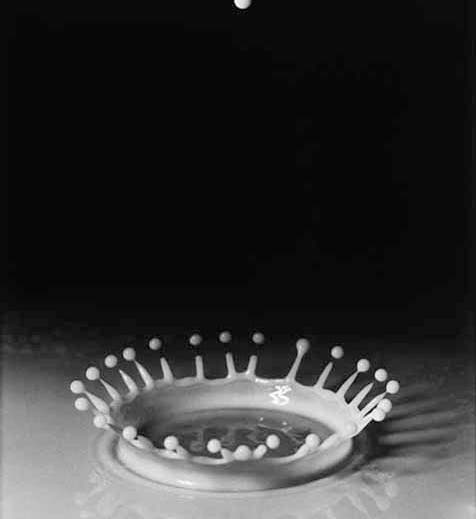 The splash of a drop of milk, in Harold Edgerton, <i>Flash!</i>, 1939 (edgerton-digital-collections.org at MIT)