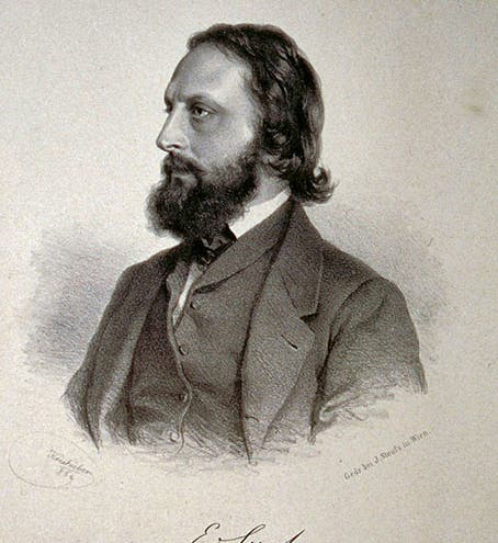 Portrait of Eduard Suess, photograph, 1869 (Wikimedia commons)