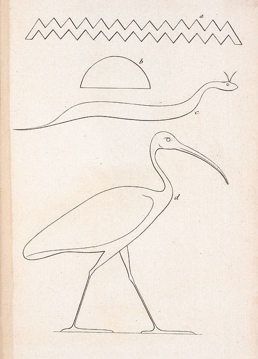 An ibis hieroglyph, from Jules-César Savigny, Histoire naturelle et mythologique de l’ibis (Paris, 1805)