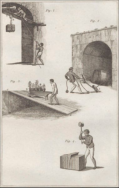 Four of the six mechanical powers, engraved diagram, from Margaret Bryan, Lectures on Natural Philosophy, 1806. (Linda Hall Library)