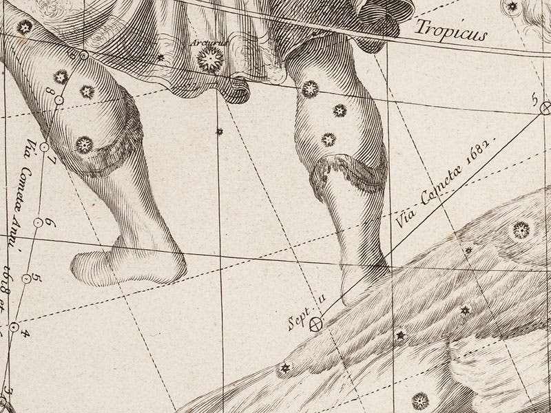 The lower part of Bootes, showing the path of the comet of 1682 (comet Halley), detail of plate 4 of Ignace-Gaston Pardies, Globi coelestis, 1690 (Linda Hall Library)