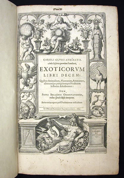 Engraved title page, Exoticorum libri decem, by Carolus Clusius, 1605 (Linda Hall Library)