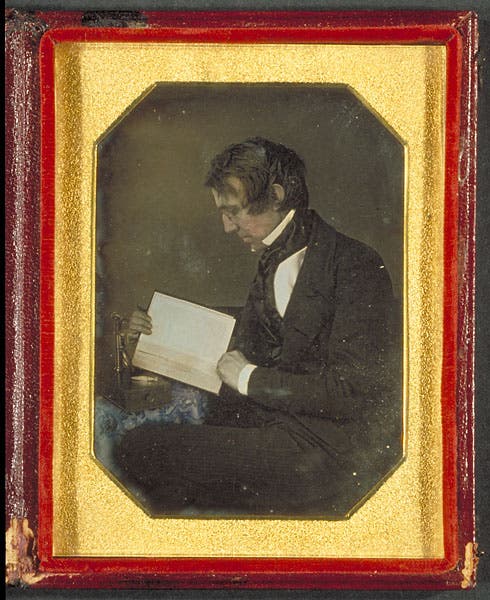 Portrait of John Torrey, daguerreotype, 1840, Harvard University Library (Wikimedia commons)