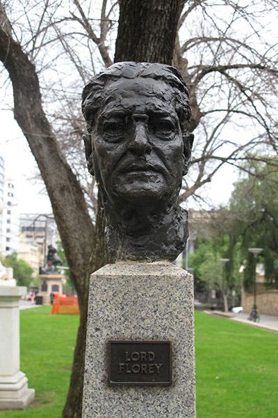Bust of Howard Florey, Adelaide, Australia (South Australia History Hub)