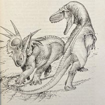 Albertosaurus attacking a Styracosaurus, drawing by Robert Bakker, in his The Dinosaur Heresies: New Theories Unlocking the Mystery of the Dinosaurs and their Extinction, p. 123, 1986 (author’s copy)