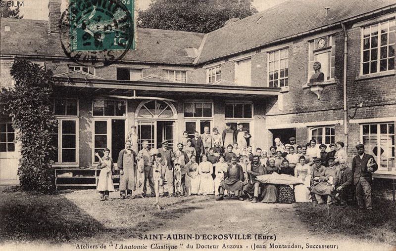 The workers at the Auzoux factory in Saint-Aubin d’Ecrosville in Normandy, group photograph, 1870-1900; note the papier-mâché fish on the laps of several workers, and the bust of Auzoux high on the wall (Wikimedia commons)