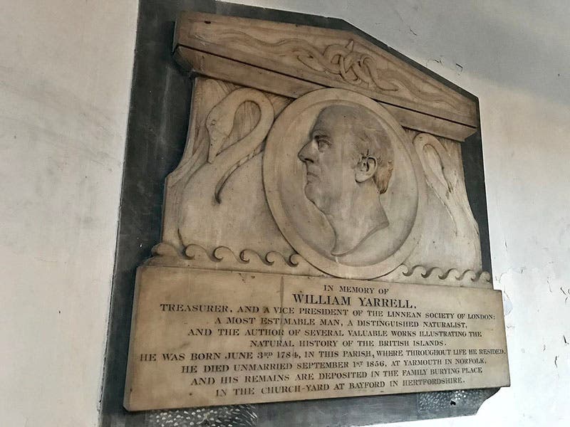 Memorial for William Yarrell, St. James Church, Piccadilly, London (Wikimedia commons)