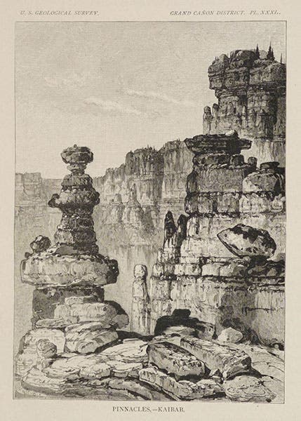“Pinnacles – Kaibab,” wood engraving after a drawing by William Henry Holmes, Tertiary History of the Grand Cañon District, by Clarence E. Dutton (USGS Monograph, 2), p. 84, 1882, copy 2 (Linda Hall Library)