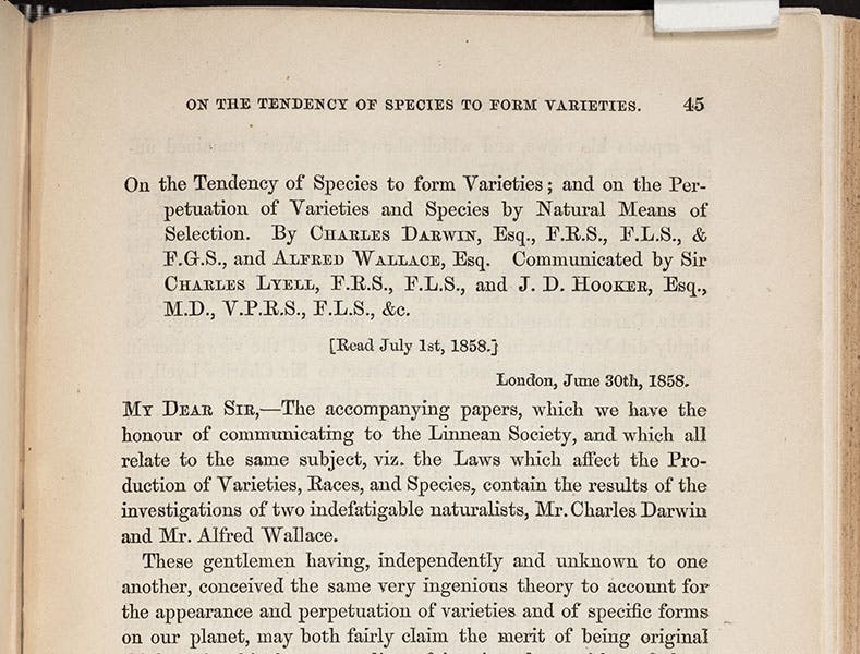 First paragraph of joint papers by Charles Darwin and Alfred Russel Wallace, “On the Tendency of Species to form Varieties…,” Journal of the Proceedings of the Linnean Society, Zoology, vol 3, 1859 (Linda Hall Library)