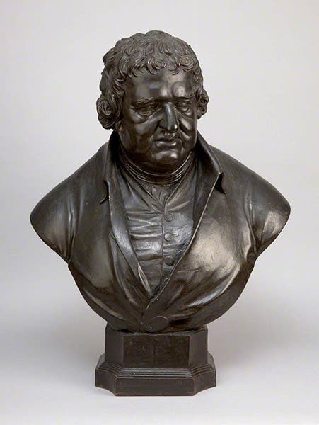 Bust of Erasmus Darwin, terracotta, sculpted by William John Coffee, undated but before 1846, English Heritage, on display at Down House, Kent (artuk.org)