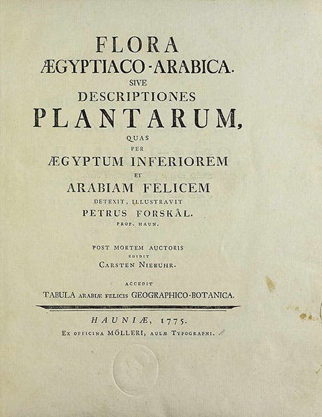 Title page, Flora Aegyptiaco-Arabica, by Peter Forsskål, ed. by Carsten Niebuhr, 1775, BEIC digital library (Wikimedia commons)