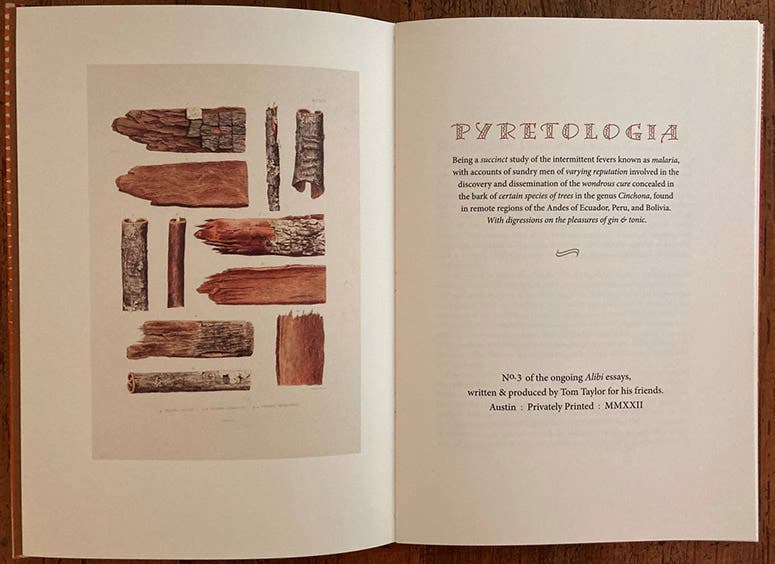 Title page and frontispiece of Pyretologia, by Tom Taylor, the third in a now annual series of occasional writings inspired by rare books; the series has the running title Alibi; the frontispiece is a chromolithograph of cinchona bark from various varieties, from Histoire naturelle des quinquinas, by Hugh A. Weddell, 1849 (photo by the author of my copy of Alibi 3)