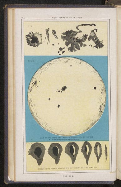 The Sun, colored engraving, Ormsby MacKnight Mitchel, Planetary and Stellar Worlds, 1861 (Linda Hall Library)