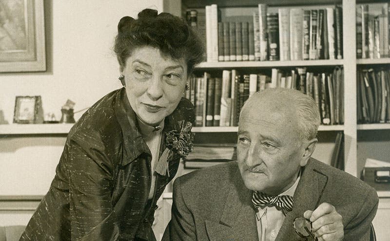 Elizebeth and William Friedman, photograph, late 1950s? (timesofisrael.com)