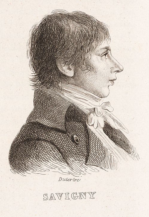 Jules-César Savigny, from Louis Reybaud, Histoire de l’expédition française en Égypte (Paris 1830-36) v. 8.