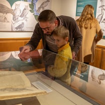 The Linda Hall announces new public visiting hours every Saturday