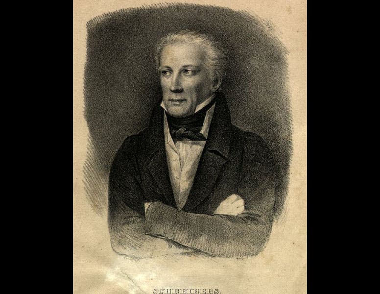 Natural History Museum, Vienna