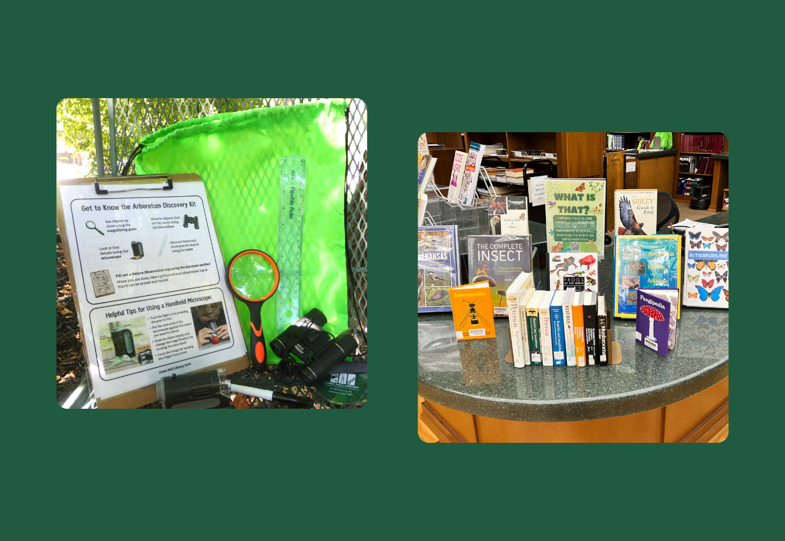 Arboretum Discovery Kits and Field Guides