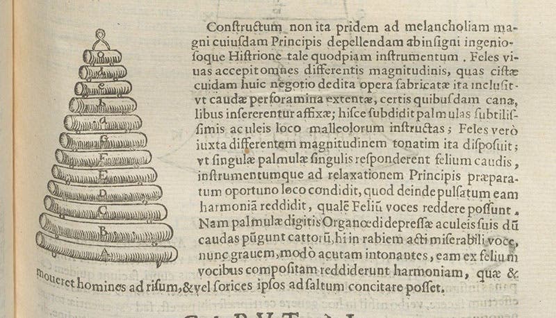 First mention of cat piano, paragraph in Musurgia universalis, by Athanasius Kircher, p. 519, 1650 (Linda Hall Library)