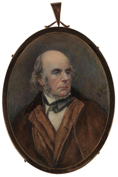 Portrait of Edward Fitzgerald, watercolor on ivory, by Eva Mary Bernard, after 1873 (National Portrait Gallery, London)
